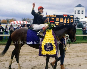Personal Ensign 1988 Breeders' Cup Distaff #3 Photo 8" x 10 - 24" x 30"  - Picture 1 of 1