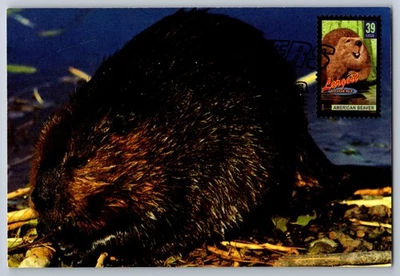 #4064 Wonders of America Largest Rodent American Beaver FDC Maxi Card w/Pict Can - Image 1 of 2