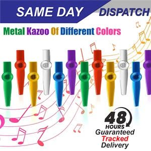 Metall Kazoo verschiedene Farben Musikinstrumente Kazoos Multipack Flöte Diap - Bild 1 von 5