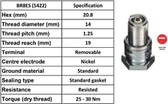 NGK BR8ES Spark Plug