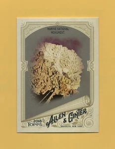 2018 Topps Allen & Ginter Glossy Silver #84 Marine National Monument - Picture 1 of 1