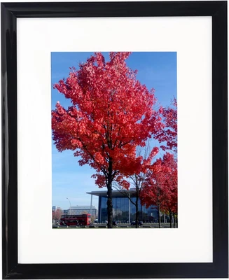 Marco de fotos 8X10 pulgadas negro pantalla imágenes 5X7 con tapete u 8X10 sin tapete, Foto 1 de 4