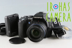 Olympus E-500 + Zuiko Digital ED 14-42mm F/3.5-5.6 Lens #57058 G31 - Picture 1 of 10