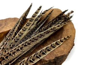 10 Pezzi, 10-12" Piume Coda di Fagiano ad Anello Marrone Naturale Fornitura Artigianale - Foto 1 di 9