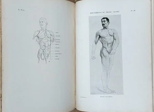 Dr. Paul Richer : ANATOMIE ARTISTIQUE. 1890, 110 planches - Picture 1 of 6