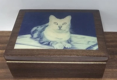 Bodegón Gato atigrado Laca Madera Bisagras Baratija Joyero Forrado Italia  Foto 1 de 4