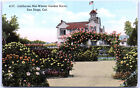 Postcard CA California Mid-Winter Garden Scene San Diego c.1910's K2