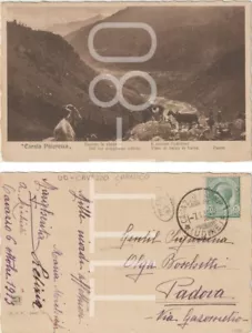 CARNIA PITTORESCA - TIMBRO CAVAZZO CARNICO - VERSO DI PARINI (UDINE) 1913 - Imagen 1 de 1
