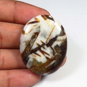 Brown Wild Horse Smooth Oval Gems 38x30 mm Natural Horse Jasper Cabs 64Cts WJ-14 - Picture 1 of 11