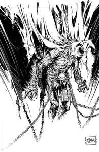 Cubierta virgen blanca y negra Spawn #350 variante Todd McFarlane - Imagen 1 de 1