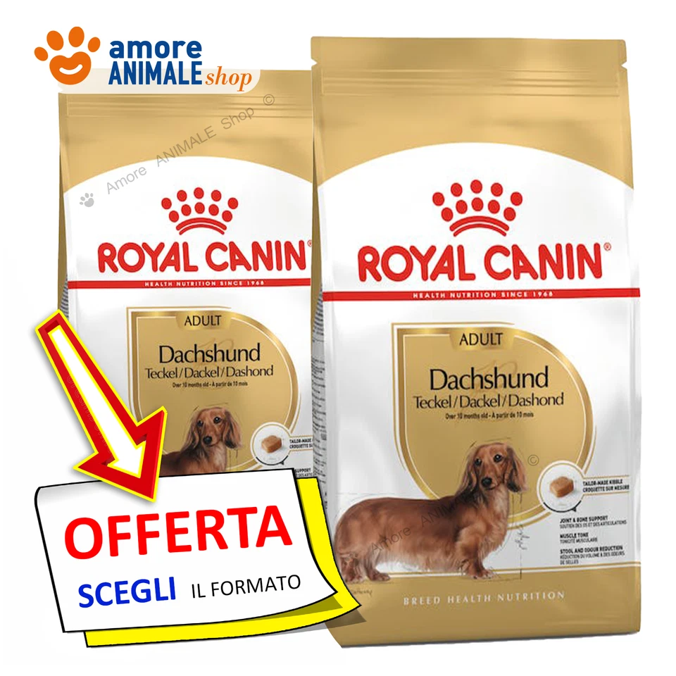 Royal Canin Dog → Adult, DACHSHUND ( BASSOTTO ) - 1,5 / 7,5 kg - Per Cane, Cani