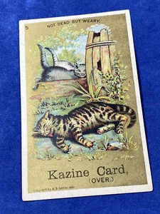 1881 tarjeta comercial victoriana KAZINE polvo de lavado, Thomas Fuller & Son Augusta, ME - Imagen 1 de 5