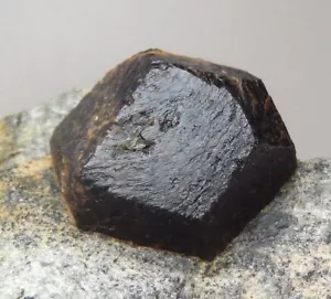 GARNET var. ALAMANDINE big crystal NORWAY Nordland - Buvika - Buviknakken /pl117 - Picture 1 of 12