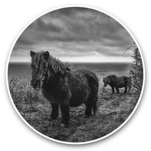 2 x Vinyl Stickers 20cm (bw) - Black Shetland Pony Ponies Horse #36593 - Picture 1 of 8