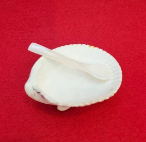 Set 2 Pcs Shell Small Bowl Mini Spoon Mother Of Pearl Caviar Food Serving Dinner - Picture 1 of 14