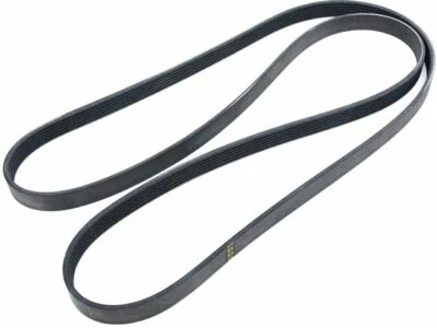 Cinturón multi costilla Mopar 95435RZ 2007-2008 para Dodge Magnum Foto 1 de 2