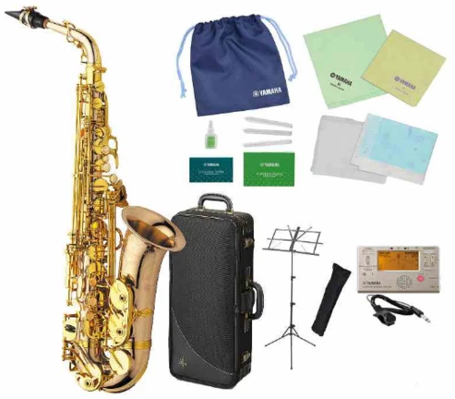 Yanagisawa A-WO20 Elite Professional Alto Saxophone - Bronze