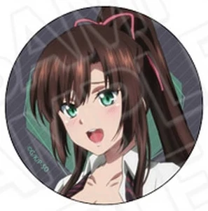 STRIKE THE BLOOD Sayaka KirasakaGoods Juguete Colección W - Imagen 1 de 1