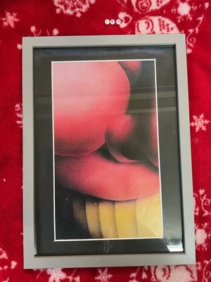 Vintage MONTY PYTHON TERRY GILLIAM , RARE DELUXE FRAMED LARGE ART PRINT - image 1 of 3