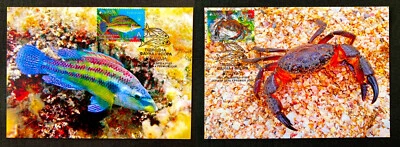 SET RARE Cardmaximum MAXI CARDS Ukraine EUROPA Underwater Fauna and Flora 25.06. - Image 1 of 4