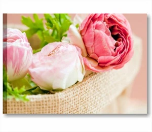 Rose vintage 7 QUADRO STAMPA TELA 70x50 cm ARREDAMENTO SHABBY CHIC PEONIE ROSA - Foto 1 di 2