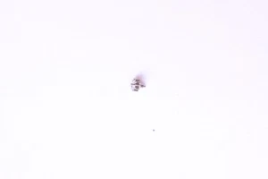 Omega 670 part 1437 Mobile de rochet Driving gear Mobile rochetto NOS - Picture 1 of 1