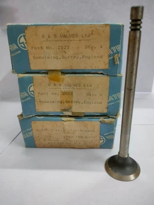 12 PIEZAS X G & S VÁLVULA DE ESCAPE 2523 PARA FORD ESCORT III Express 81SM6505AE Turnier Foto 1 de 4