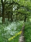 Photo 6x4 Footpath by Peafield New Plantation Mansfield Woodhouse The pat c2014