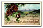Pinecone And Poem, Colorado CO Postcard