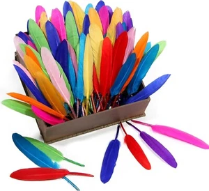600 pcs Colorful Goose Cochette Feathers 4"-6" -Crafts Jewelry Wedding (5 Packs) - Picture 1 of 13