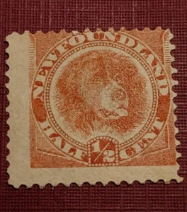 Newfoundland 1894 Sc#56 RedDog,1/2cent Mint HPOG(1508-2) - Bild 1 von 2