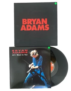 Bryan Adams - All I Want Is You Limited Edition 12" Record Box Set Poster NM - Picture 1 of 15
