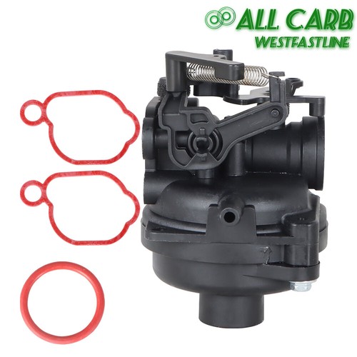 BRIGGS & STRATTON Acquisti Online - Foto 6