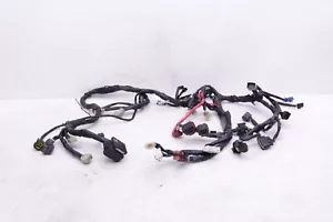 Yamaha R1 Yzf 1000 2007 07 08 fabricante de equipos originales arnés de cableado principal telar Y115 - Imagen 1 de 11
