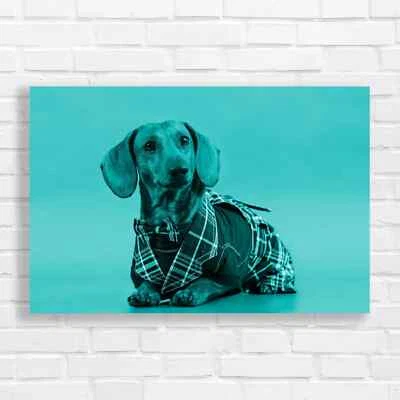 Dapper Dachshund Teal Canvas Print Large Picture Wall Art - Image 1 of 4