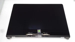 Genuine Apple LCD Screen Retina Assembly 15" MacBookPro A1707 2016 2017 Silver - Picture 1 of 5