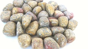 Three Leopardskin Jasper Tumbled Stones 20-30mm Reiki Crystal Healing Protection - Picture 1 of 2