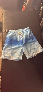Boys swim trucks size 7T Brand new - Picture 1 of 1