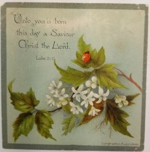 Holy Card Luke Ladybug Copyright 1884 L Prang & Co Boston 3" x 3" Religious E1B - Imagen 1 de 4