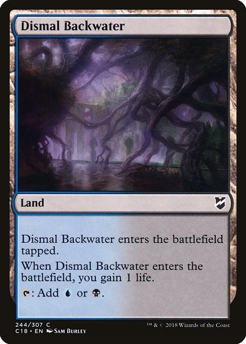 [MTG] Dismal Backwater (244) (C18) LP-HP - Image 1 of 1
