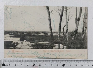 I120963 Cartolina - Lucca - Quadro Lucchesi Maremma VG 1901 - Imagen 1 de 2