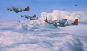 Fighting Red Tails by Robert Taylor signed by Charles McGee & Tuskegee Airmen - Picture 1 of 2