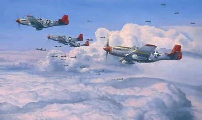 Fighting Red Tails by Robert Taylor signed by Charles McGee & Tuskegee Airmen - Image 1 of 2