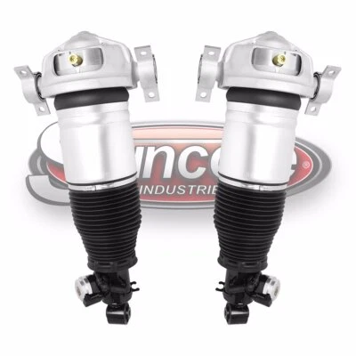 Rear Air Suspension Strut for 2003-2010 Porsche Cayenne Foto 1 de 4