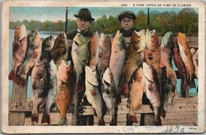 Postal vintage de pesca de Florida "Una buena captura de peces en Florida" - fechada 1930 - Imagen 1 de 2