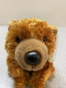 TY Beanie Baby - SEQUOIA the Brown Bear (5 inch) - MWMTs Stuffed Animal Toy - Picture 1 of 8