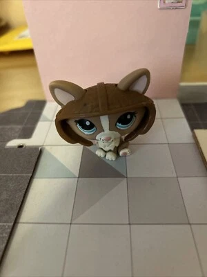 Littlest Pet Shop Blythe Scooter 2010 Corgi cachorro perro bronceado crema ojos verdes #1864 Foto 1 de 3