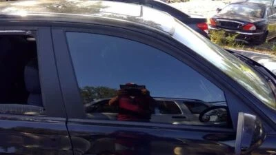 Estación de vidrio puerta delantera derecha pasajero Wgn para BMW 328i 383501 07-12 Foto 1 de 4