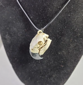 Tropical Macaw parrot skull necklace Museum grade 3D replica euromount style new - Picture 1 of 9