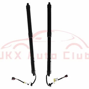 Rear L& R Electric Power Tailgate Lift Support x For 2013-2019 Hyundai Santa Fe - Picture 1 of 5